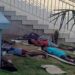 La foto donde aparecen niños que duermen en la calle provocó una ola de indignación en redes sociales y la reacción gubernamental.