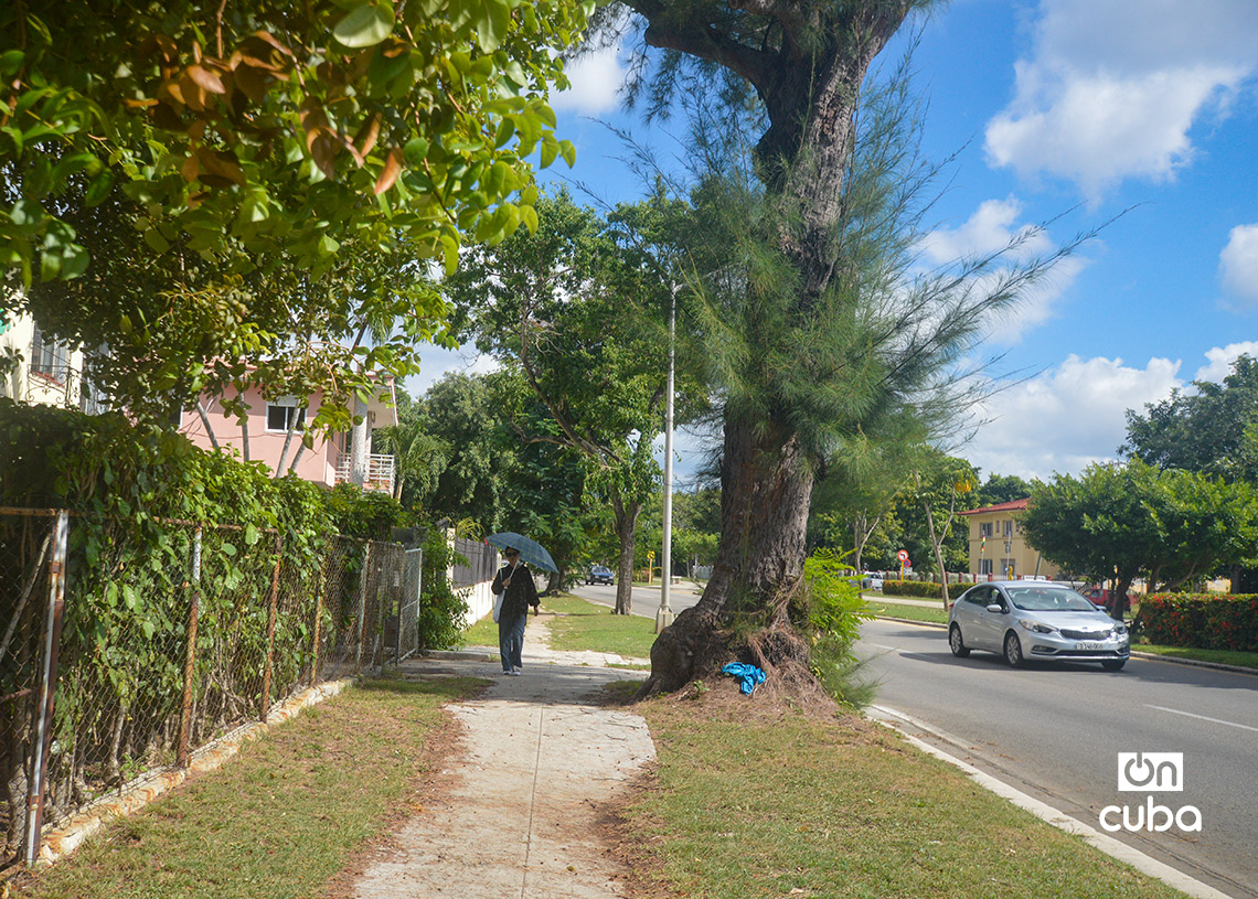 La Quinta Avenida de Miramar, en La Habana. Foto: Otmaro Rodríguez.