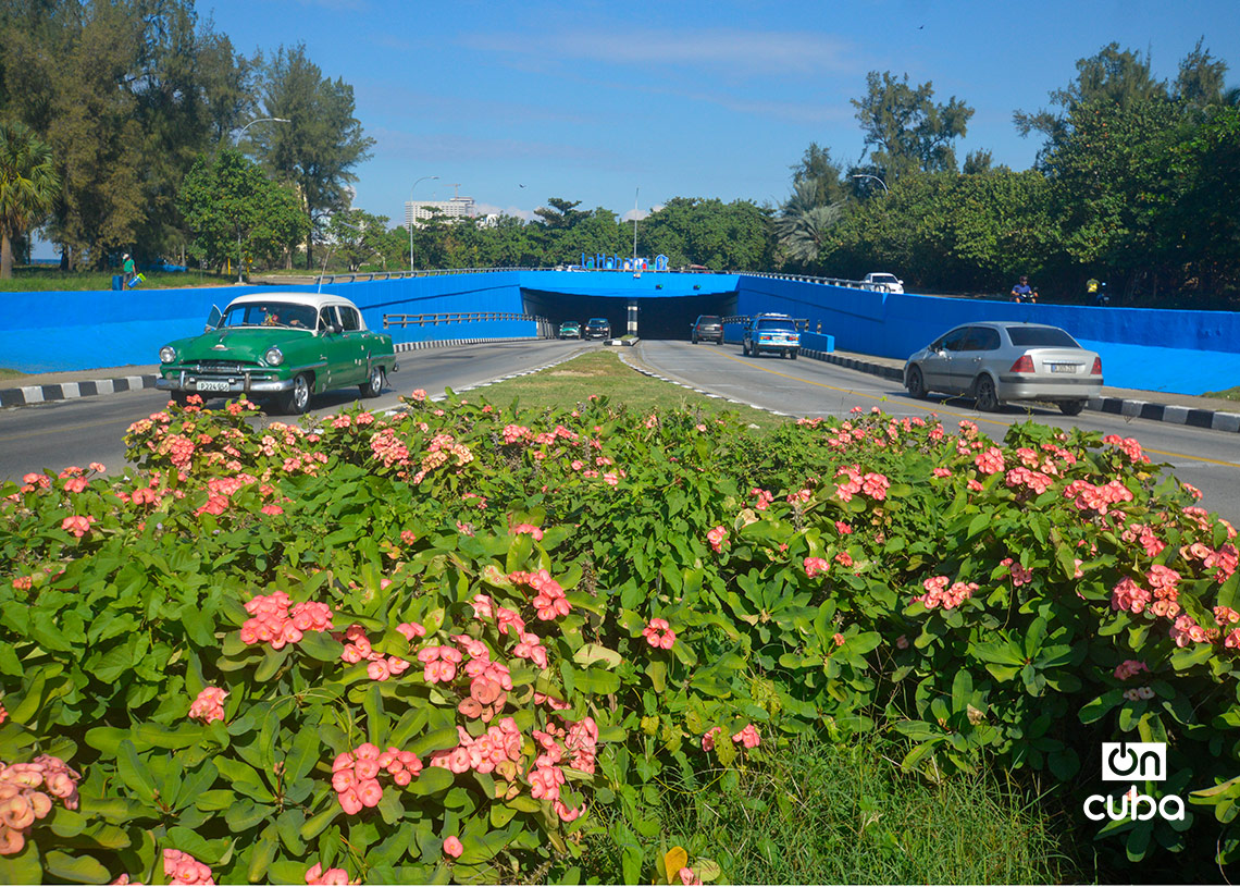 Túnel de la Quinta Avenida de Miramar, en La Habana. Foto: Otmaro Rodríguez.