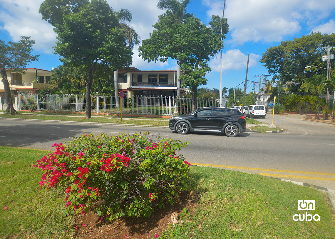 La Quinta Avenida de Miramar, en La Habana. Foto: Otmaro Rodríguez.