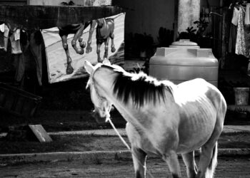 S/t, 2024. De la serie “Fracturas”.  Manicaragua, Cuba. Foto digital, 70 x 50 cm.