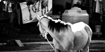 S/t, 2024. De la serie “Fracturas”.  Manicaragua, Cuba. Foto digital, 70 x 50 cm.