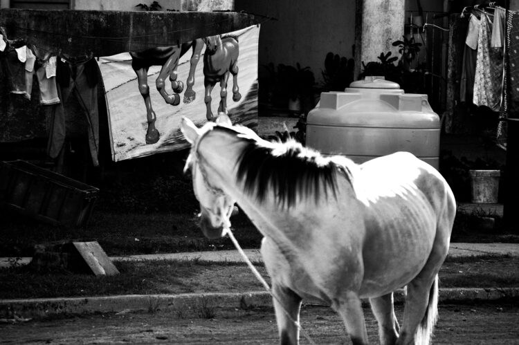 S/t, 2024. De la serie “Fracturas”.  Manicaragua, Cuba. Foto digital, 70 x 50 cm.