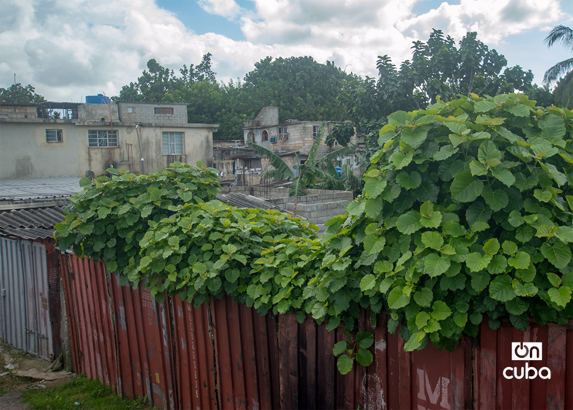 Barrio de Coco Solo, en Marianao, La Habana. Foto: Otmaro Rodríguez.