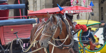 Coche a la espera de turistas en La Habana. Foto: Otmaro Rodríguez.