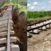 Vías férreas dañadas en el oriente cubano tras el paso del huracán Melissa. Foto: Facebook/Eduardo Rodríguez Dávila.