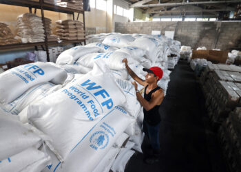 Imagen de archivo de arroz donado a Cuba a través del Programa Mundial de Alimentos para los damnificados del huracán Melissa. Foto: Ernesto Mastrascusa / EFE / Archivo.