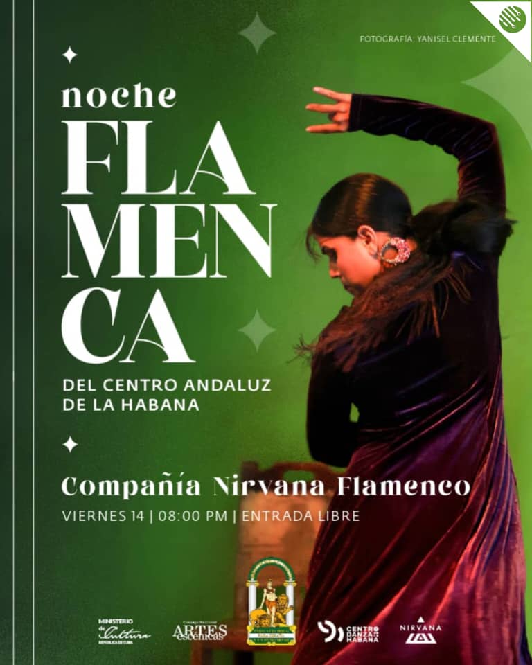 noche flamenca