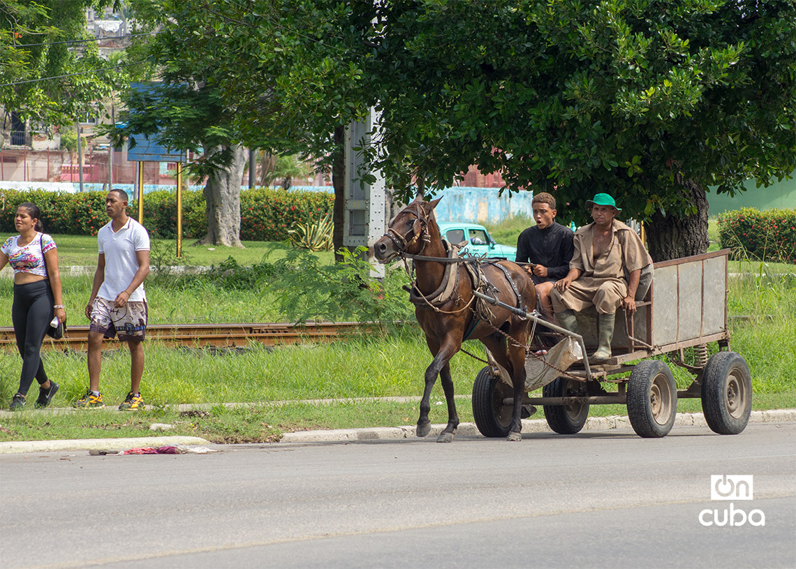 Un carretón tirado por un caballo en La Habana. Foto: Otmaro Rodríguez.