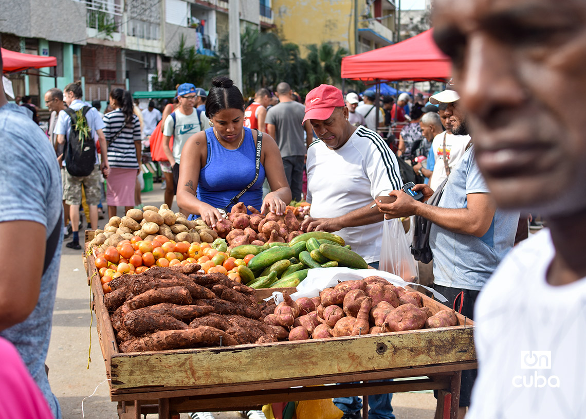 Feria agropecuaria del Parque Trillo, en La Habana. Foto: Otmaro Rodríguez.