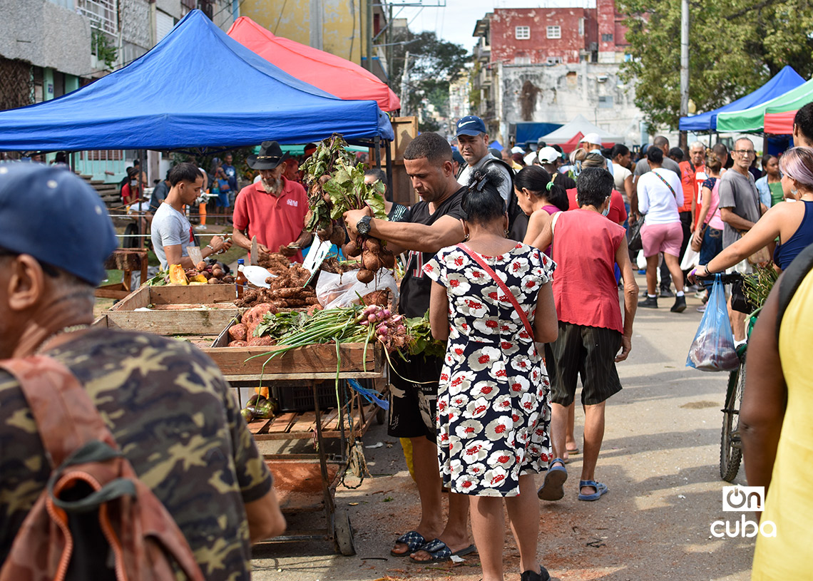 Feria agropecuaria del Parque Trillo, en La Habana. Foto: Otmaro Rodríguez.