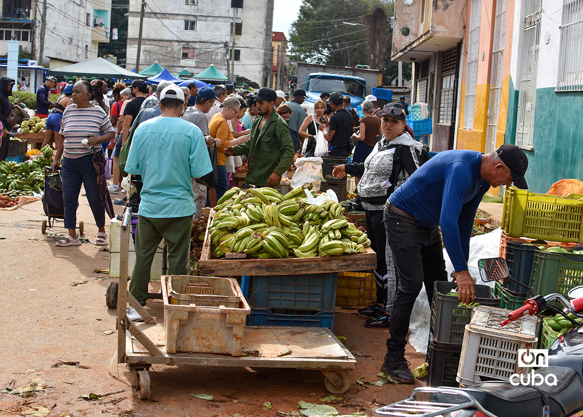 Feria agropecuaria del Parque Trillo, en La Habana. Foto: Otmaro Rodríguez.