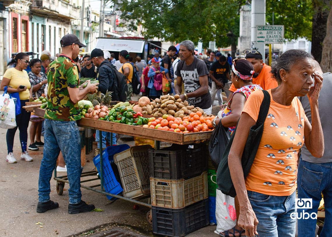 Feria agropecuaria del Parque Trillo, en La Habana. Foto: Otmaro Rodríguez.