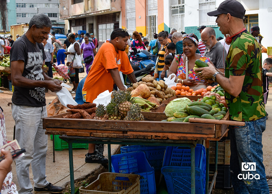 Feria agropecuaria del Parque Trillo, en La Habana. Foto: Otmaro Rodríguez.
