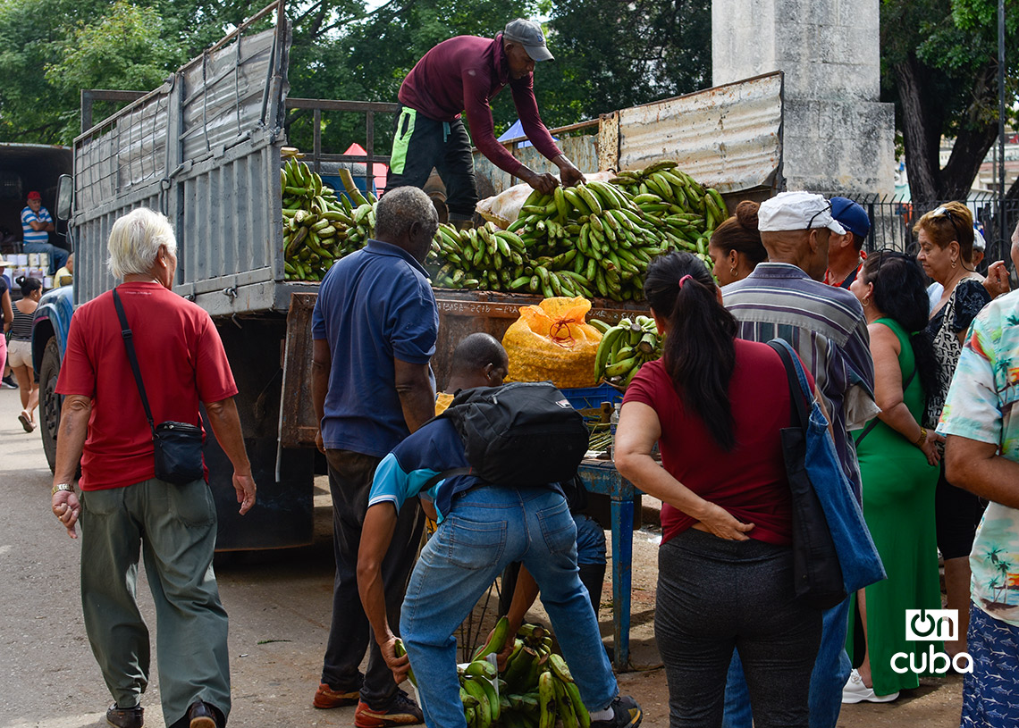 Feria agropecuaria del Parque Trillo, en La Habana. Foto: Otmaro Rodríguez.