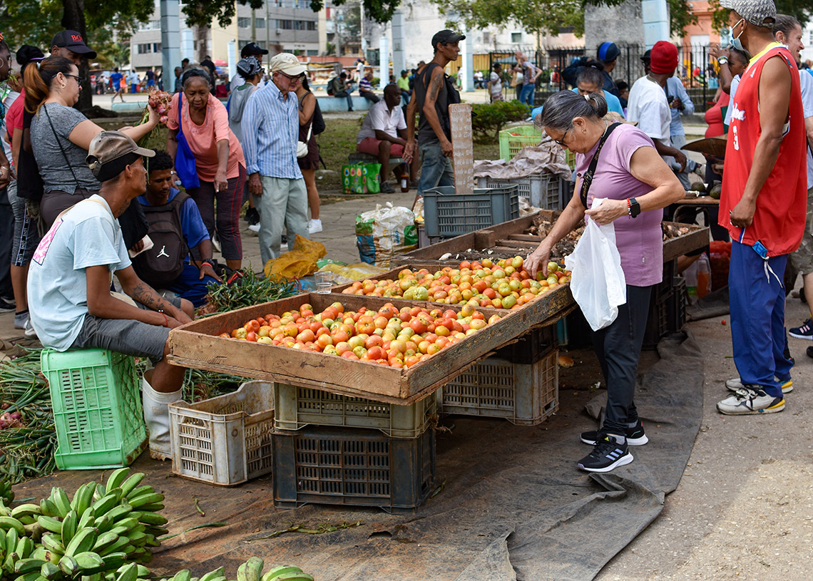 Feria agropecuaria del Parque Trillo, en La Habana. Foto: Otmaro Rodríguez.