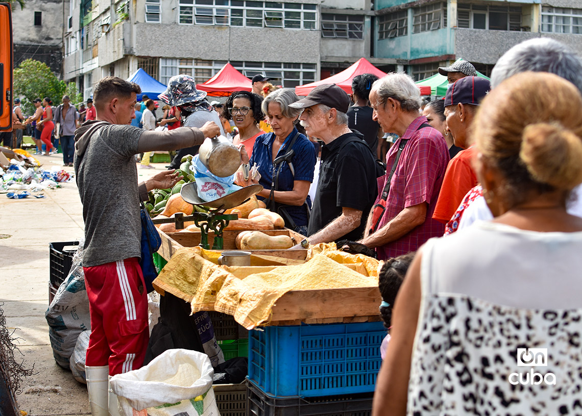 Feria agropecuaria del Parque Trillo, en La Habana. Foto: Otmaro Rodríguez.
