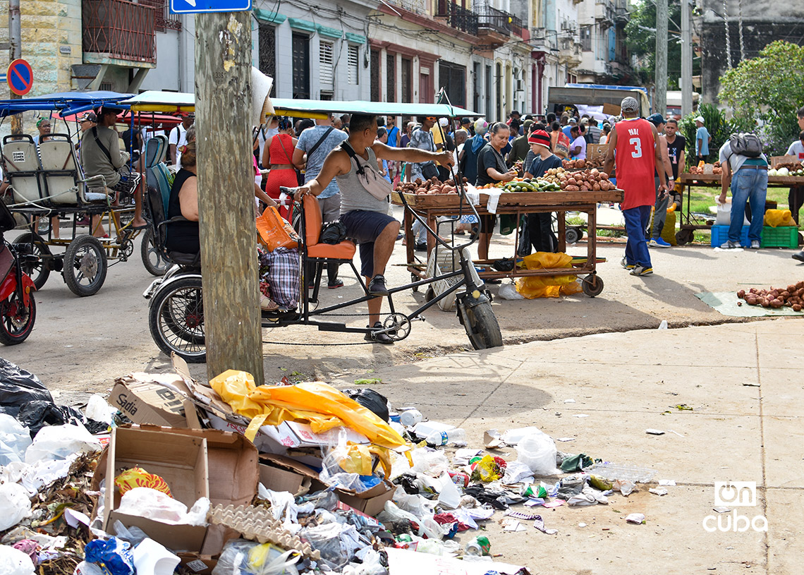 Feria agropecuaria del Parque Trillo, en La Habana. Foto: Otmaro Rodríguez.