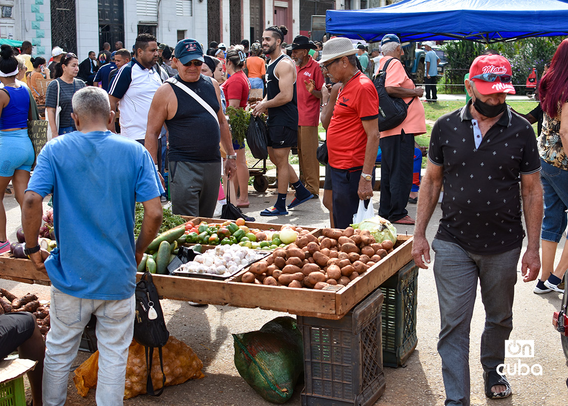 Feria agropecuaria del Parque Trillo, en La Habana. Foto: Otmaro Rodríguez.