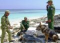 Hallazgo de un recalo de drogas en la costa cubana por las tropas guardafronteras. Foto: Granma / Archivo.