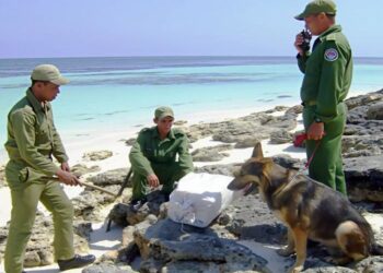 Hallazgo de un recalo de drogas en la costa cubana por las tropas guardafronteras. Foto: Granma / Archivo.
