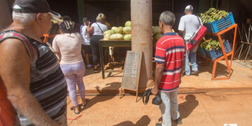 Personas observan los precios y ofertas de un mercado agropecuario en La Habana. Foto: Otmaro Rodríguez.