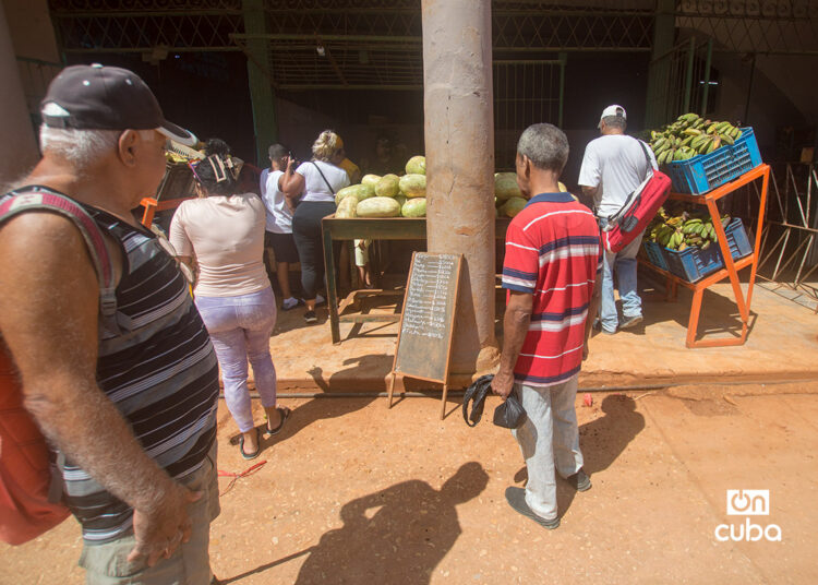 Personas observan los precios y ofertas de un mercado agropecuario en La Habana. Foto: Otmaro Rodríguez.