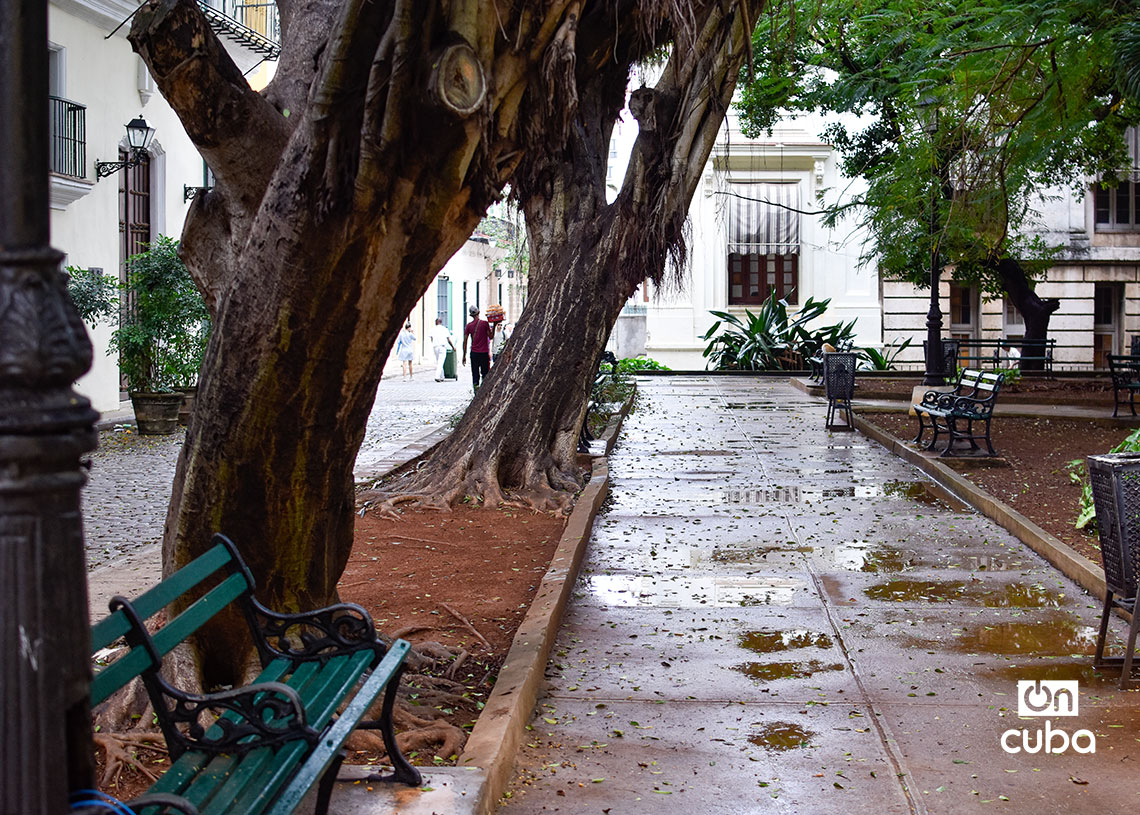 Parque Alejandro de Humboldt, en la Habana Vieja. Foto: Otmaro Rodríguez.