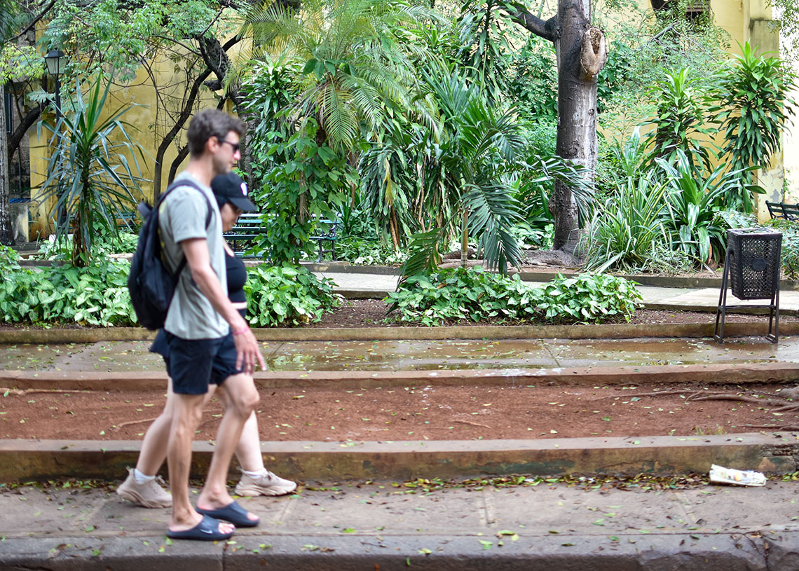Parque Alejandro de Humboldt, en la Habana Vieja. Foto: Otmaro Rodríguez.
