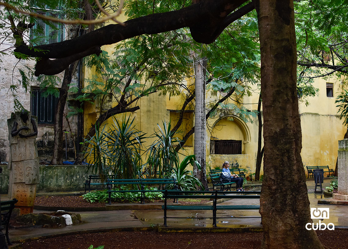 Humboldt Park: tribute and haven in Old Havana Alejandro de Humboldt Park, in Old Havana. Photo: Otmaro Rodríguez.