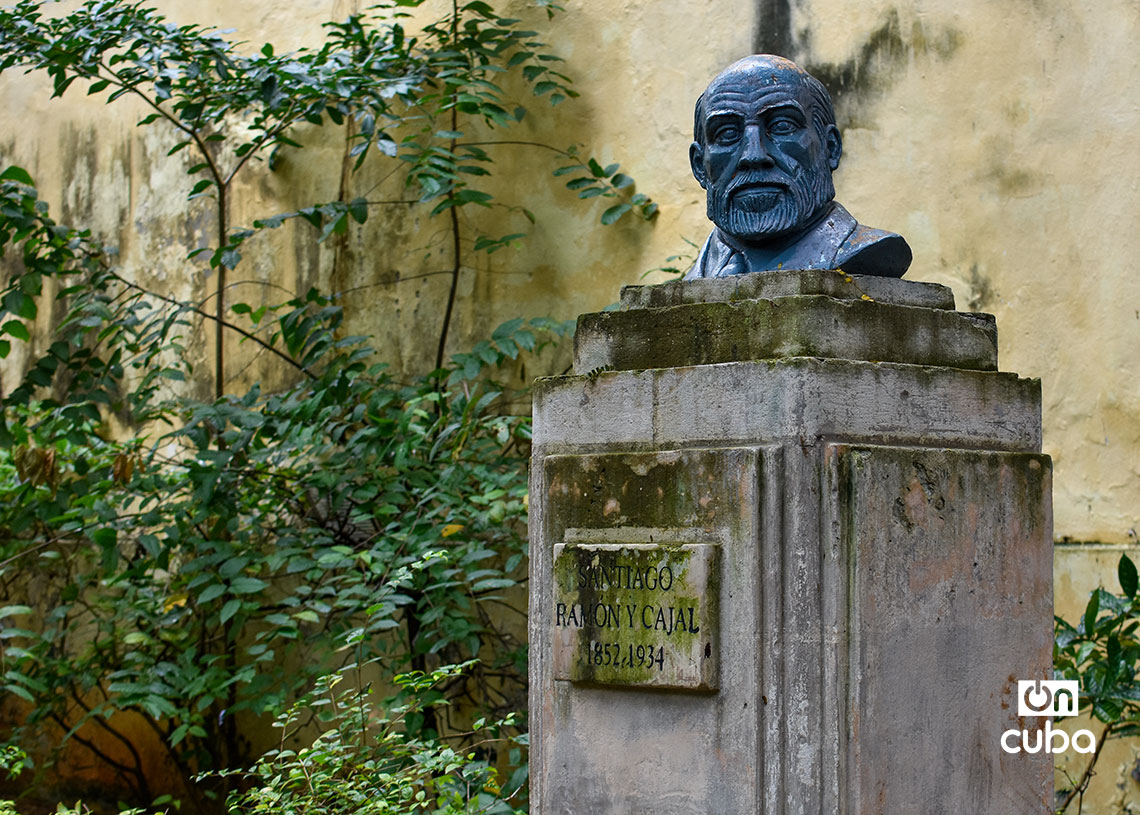 Busto en el Parque Alejandro de Humboldt, en la Habana Vieja. Foto: Otmaro Rodríguez.