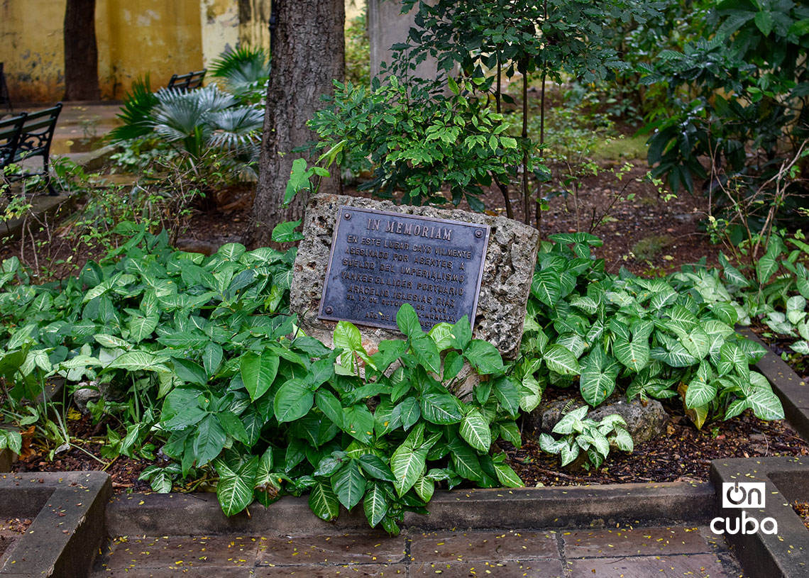 Tarja en el Parque Alejandro de Humboldt, en la Habana Vieja. Foto: Otmaro Rodríguez.