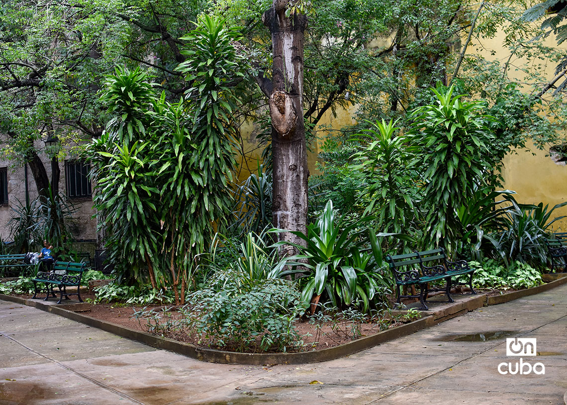 Parque Alejandro de Humboldt, en la Habana Vieja. Foto: Otmaro Rodríguez.