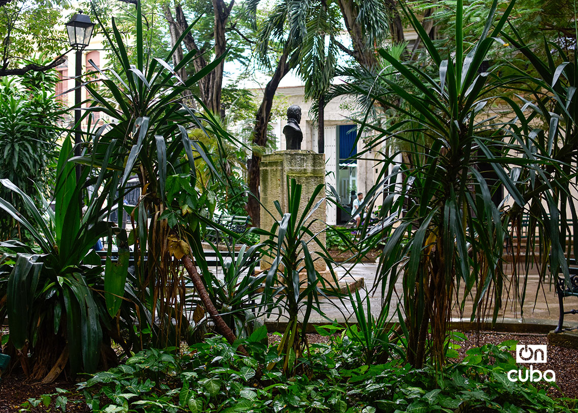 Humboldt Park: tribute and haven in Old Havana Alejandro de Humboldt Park, in Old Havana. Photo: Otmaro Rodríguez.