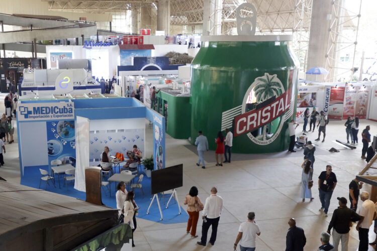 Foto: EFE/ Ernesto Mastrascusa.