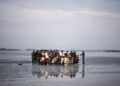 Migrantes esperan en una playa para abordar una lancha inflable y cruzar el Canal de la Mancha, en Gravelines, norte de Francia. Foto: Yoan Valat/EFE/Archivo.
