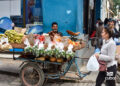Un puesto ambulante de venta de productos agrícolas en La Habana, tras la llegada de un frente frío en la última semana de enero de 2026. Foto: Otmaro Rodríguez.