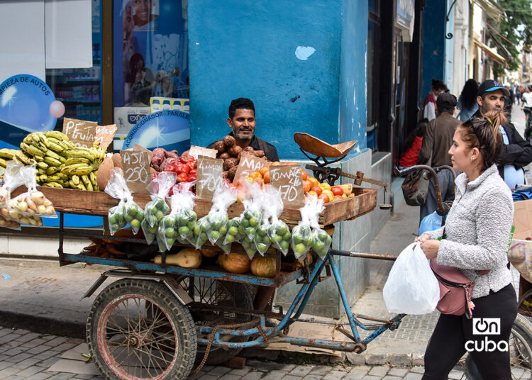 Un puesto ambulante de venta de productos agrícolas en La Habana, tras la llegada de un frente frío en la última semana de enero de 2026. Foto: Otmaro Rodríguez.