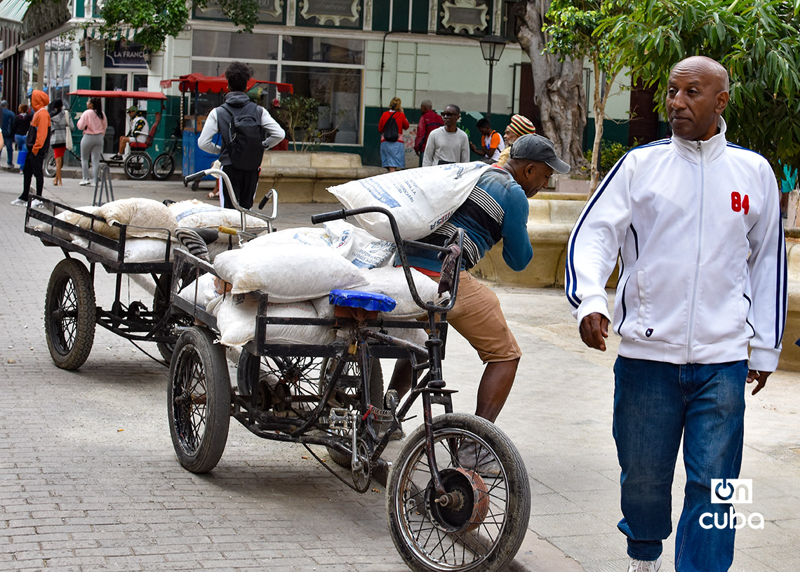 People in Havana during a cold front in the last week of January 2026. Photo: Otmaro Rodríguez.