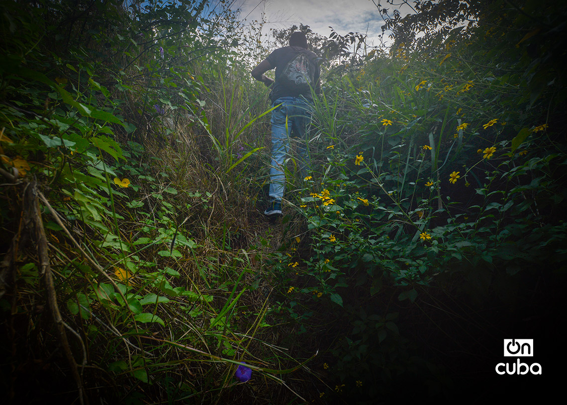 Alrededores de la Batería de Costa No.1, en la Habana del Este. Foto: Otmaro Rodríguez.