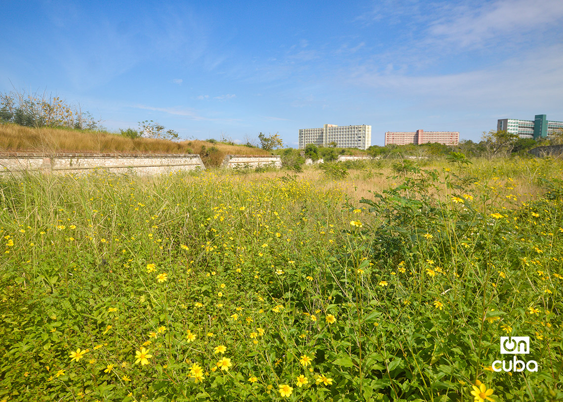 Alrededores de la Batería de Costa No.1, en la Habana del Este. Detrás, el reparto Camilo Cienfuegos. Foto: Otmaro Rodríguez.