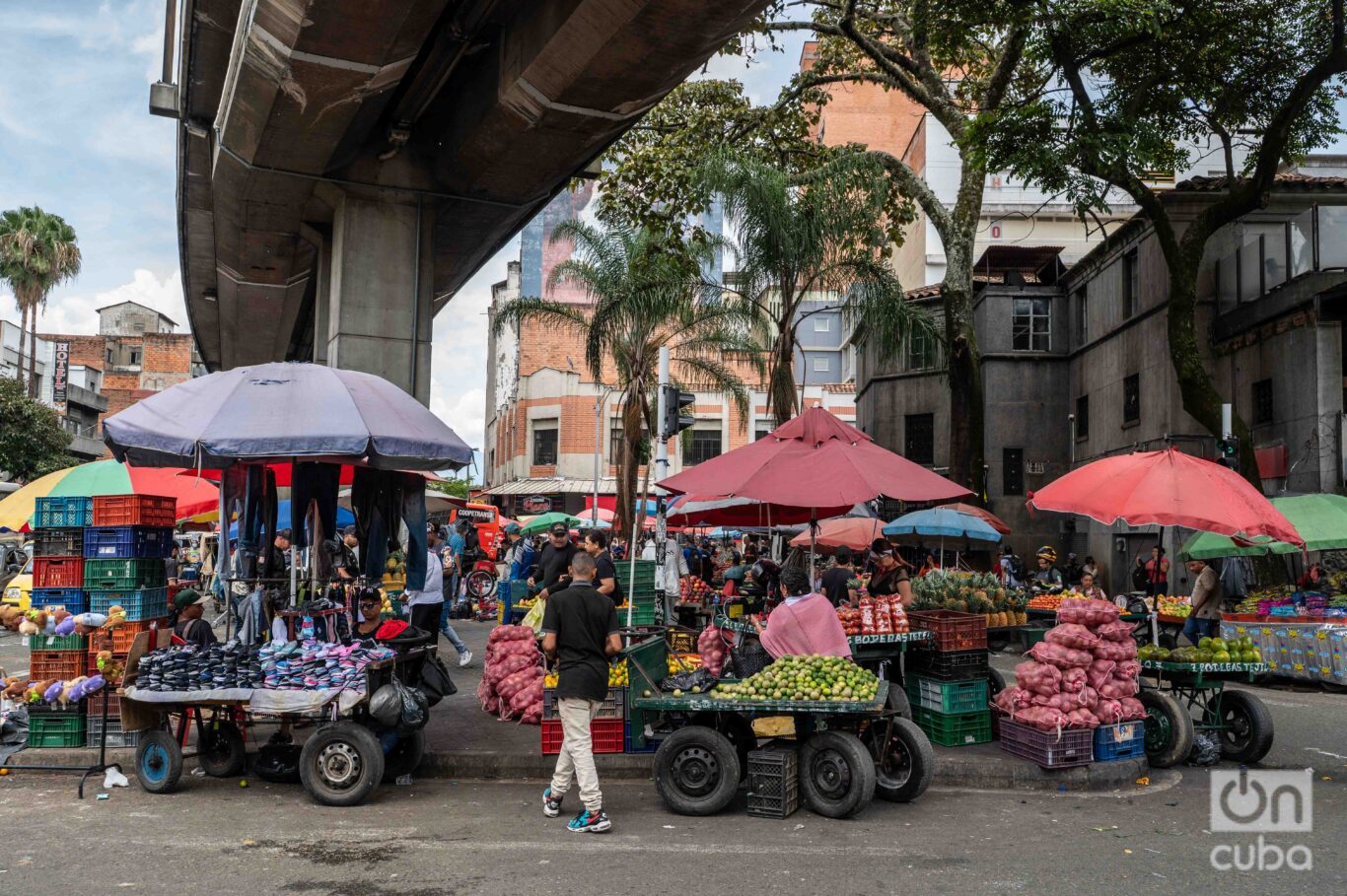 The pulse of Plaza Botero