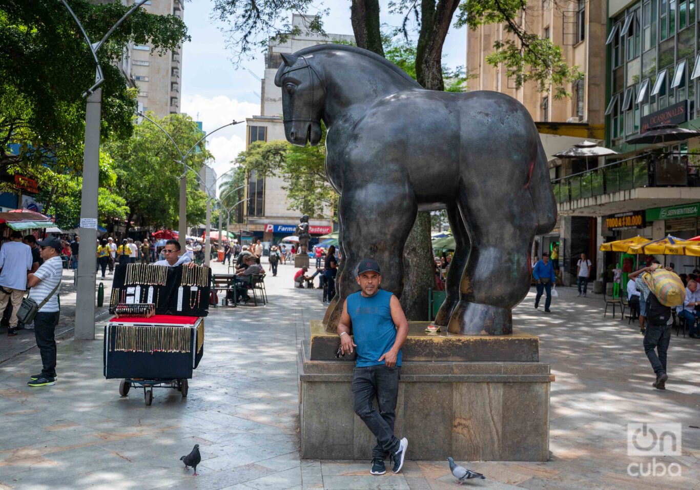 The pulse of Plaza Botero