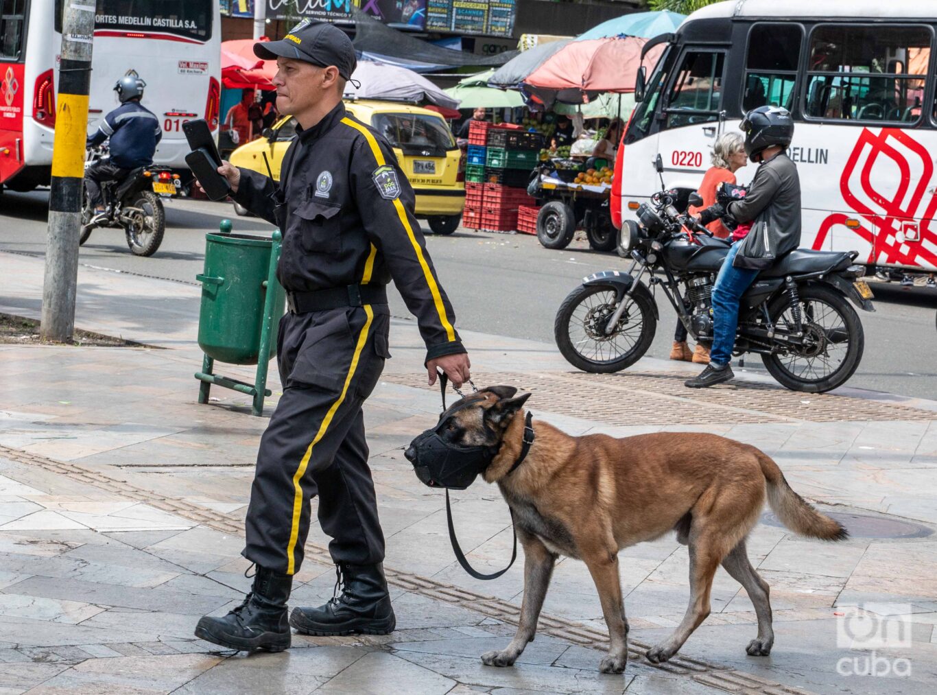 The pulse of Plaza Botero