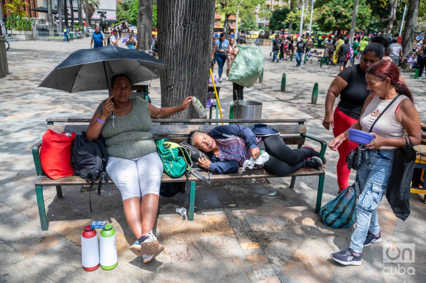 The pulse of Plaza Botero