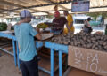 Imagen de archivo de un mercado agropecuario en La Habana. Foto: Ernesto Mastrascusa / EFE / Archivo.