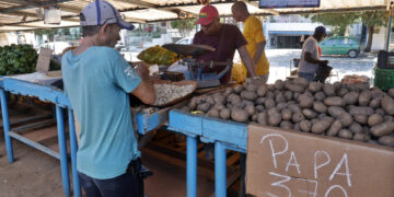 Imagen de archivo de un mercado agropecuario en La Habana. Foto: Ernesto Mastrascusa / EFE / Archivo.