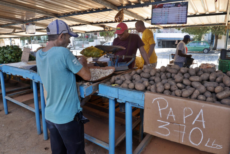Imagen de archivo de un mercado agropecuario en La Habana. Foto: Ernesto Mastrascusa / EFE / Archivo.