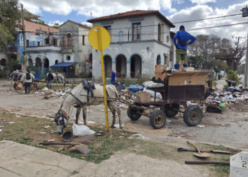 Personas recogen basura en una calle de La Habana. Foto: Juan Palop/EFE.