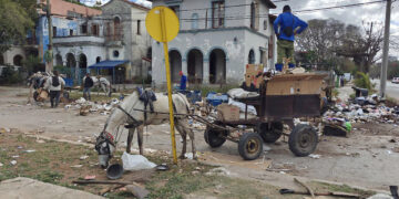 Personas recogen basura en una calle de La Habana. Foto: Juan Palop/EFE.